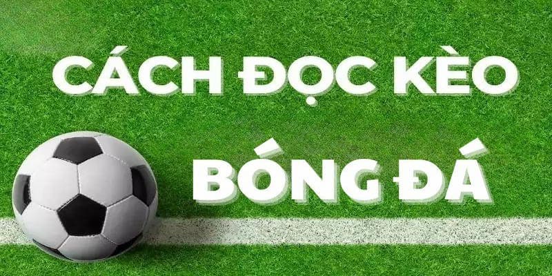 Tại sao phải biết cách đọc kèo bóng đá trên mạng